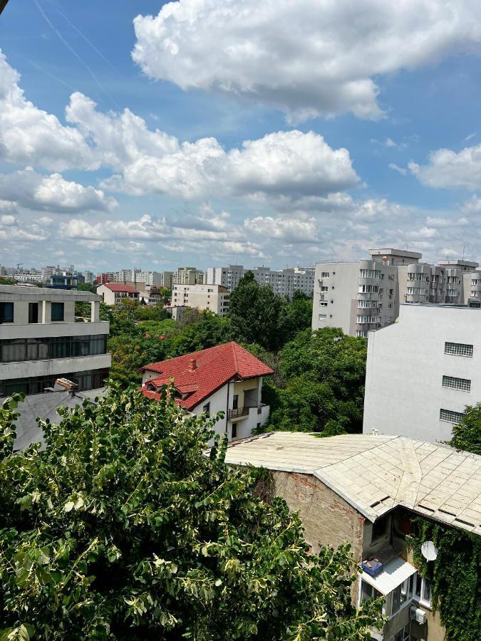 View - Luxury - Sanador Victoriei 公寓 *